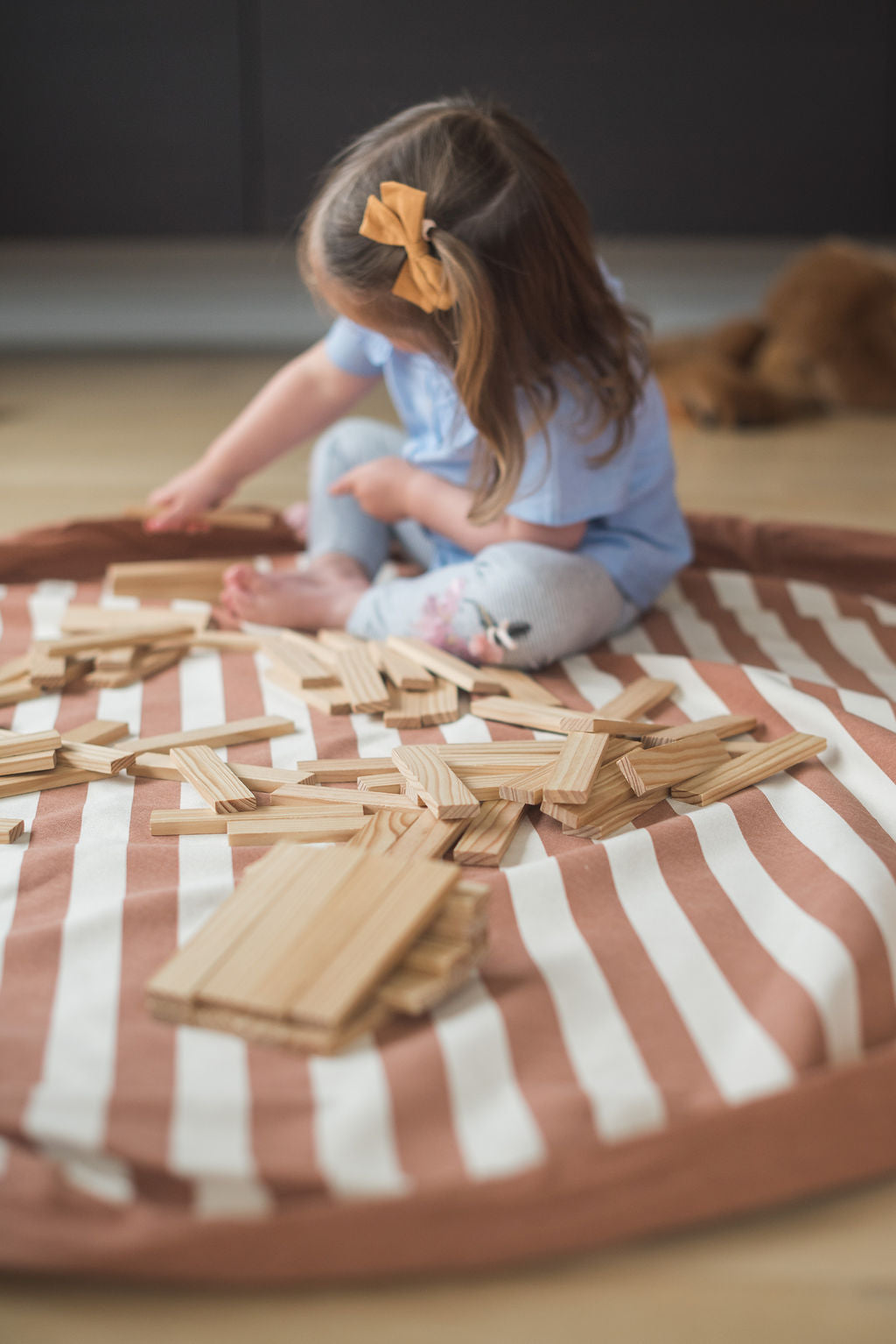 Stripes Brown Toy Storage Bag