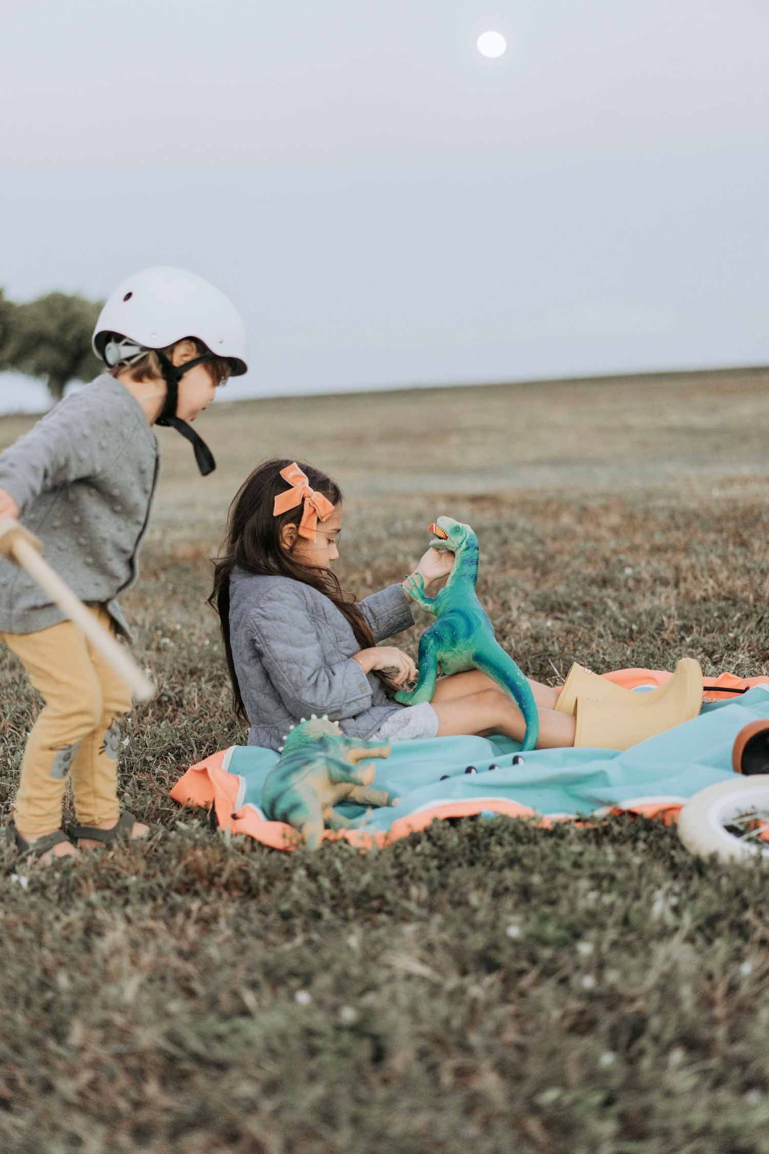 outdoor play storage bag, 2 kids playing with dinos on the mat in a field