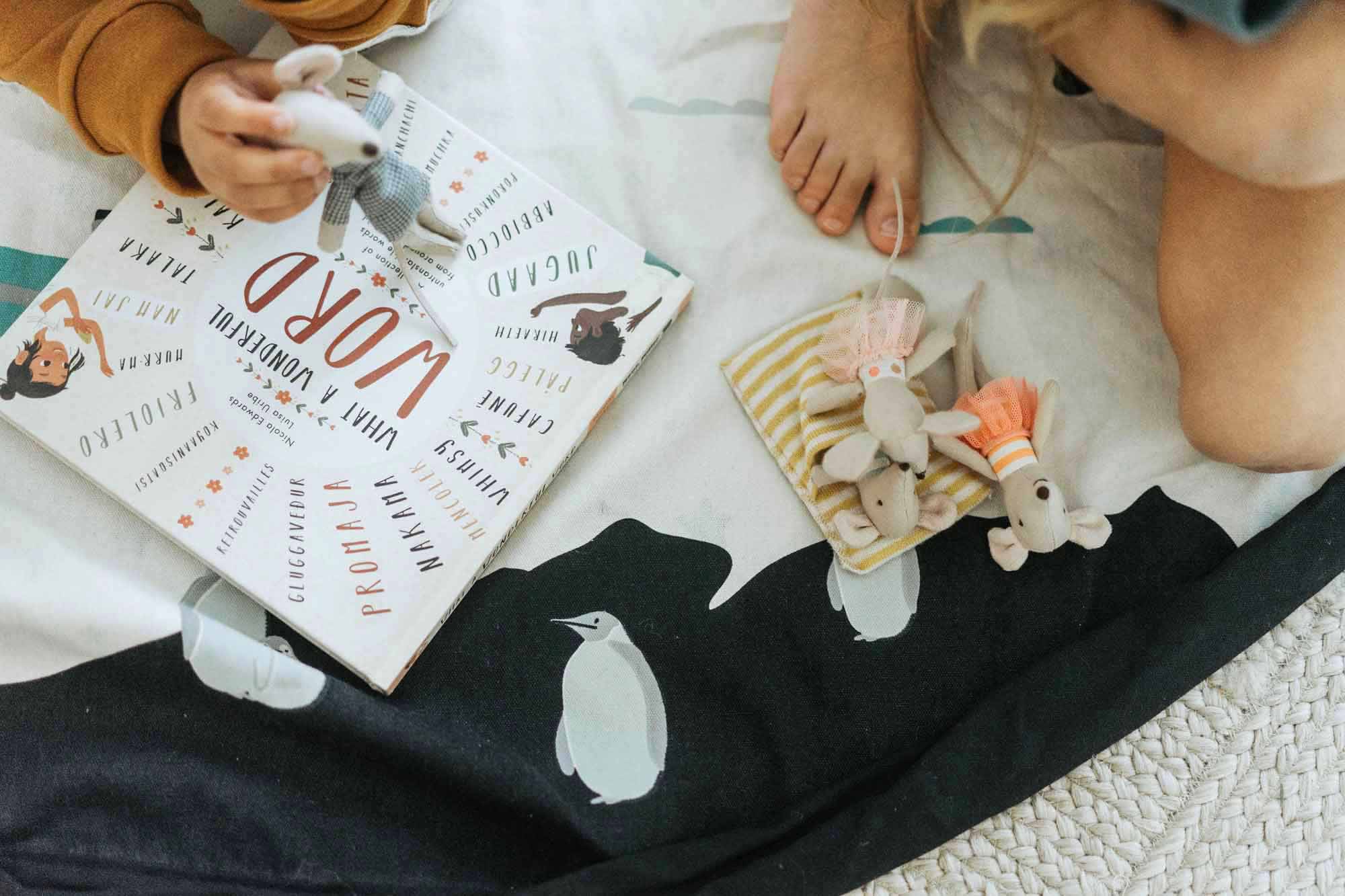 Worldmap/stars toy storage bag