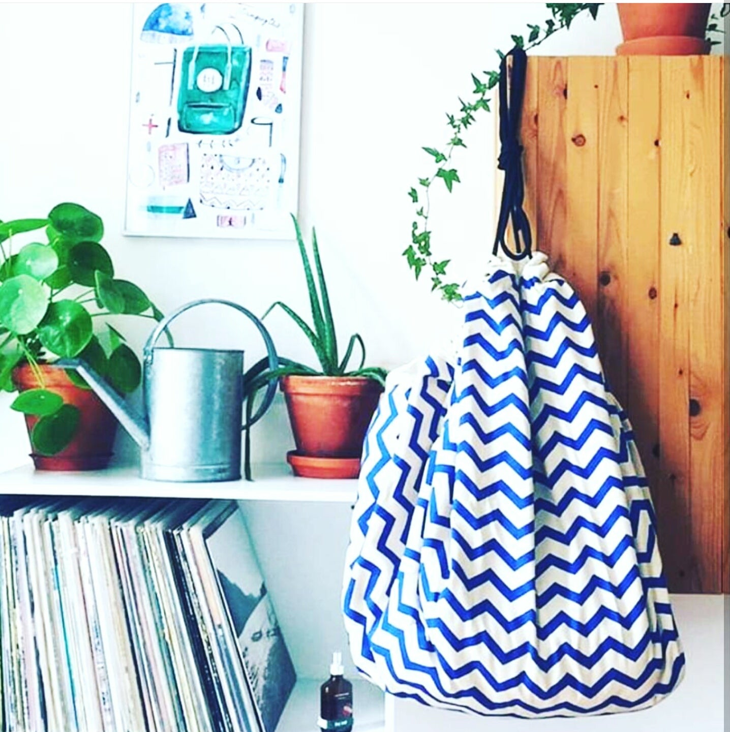 zig zag blue toy storage bag, hanging up on closet, next to plants